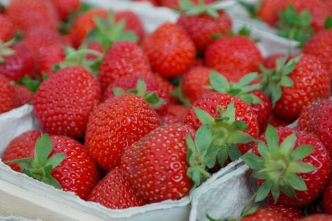 Strawberries. The French for "strawberries" is "fraises".